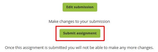 Click the submit assignment button near the bottom of the main assignment page