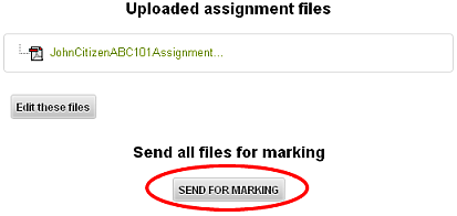 Submit for marking